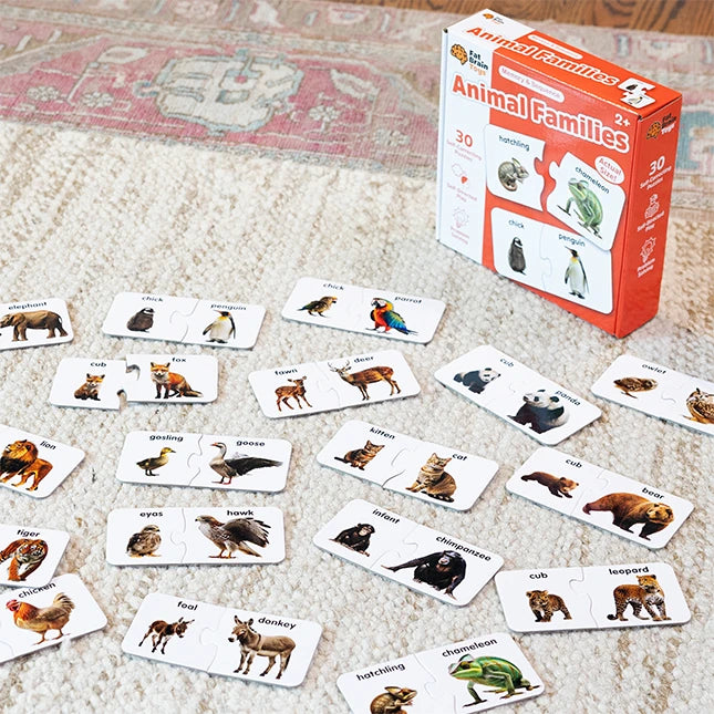 Animal Families - Best Early Learning Toys for Ages 2 to 4 - US 2709