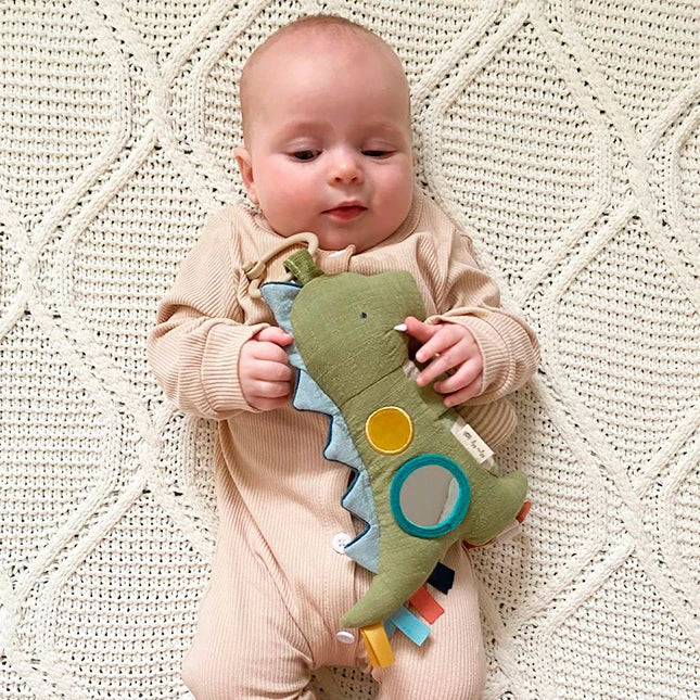 Bitzy Traveler - Best Baby Toys & Gifts for Ages 0 to 1 - US 6564