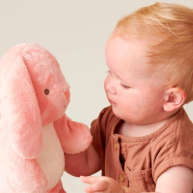 Sweetie Snuggles Ana the Bunny - Best for Ages 0 to 2 - US 4959