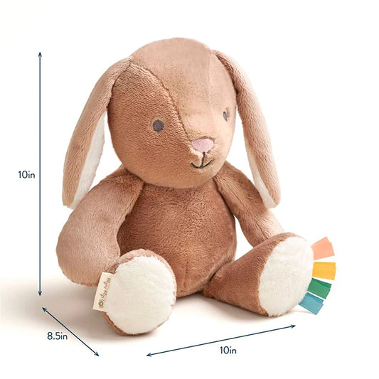 Sweetie Snuggles Billie the Bunny - Best for Ages 0 to 2 - US 5189