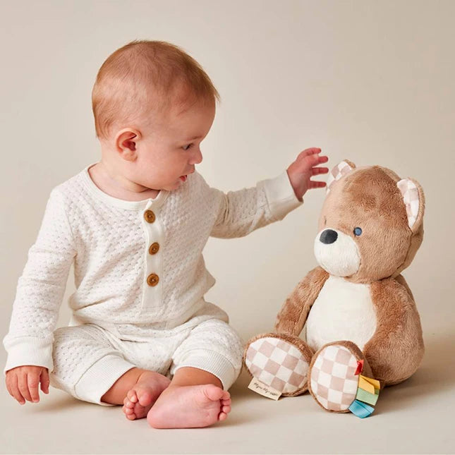 Sweetie Snuggles Theo the Bear - Best for Ages 1 to 2 - US 5616