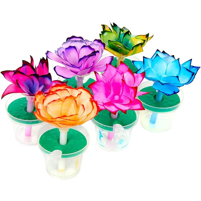 Crayola Paper Flower Science Kit - Best Arts & Crafts for Ages 7 to 10 - US 7150
