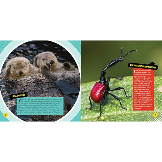 National Geographic Kids Weirdest Animals on the Planet - US 2801