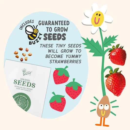 Paint & Grow - Strawberry - Best Arts & Crafts for Ages 8 to 12 - US 9481