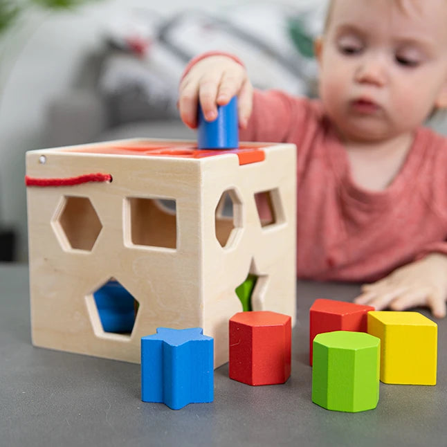 Take-Along Shape Sorter - Best Baby Toys & Gifts for Babies - US 7142