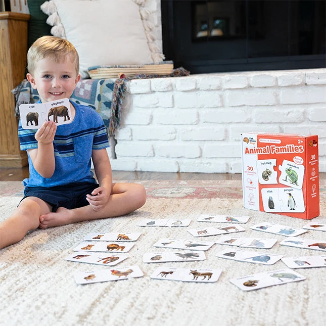 Animal Families - Best Early Learning Toys for Ages 2 to 4 - US 2709