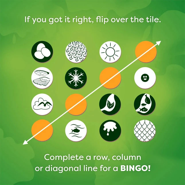 Animals of the World Bingo - Best Games for Ages 8 to 12 - US 9836