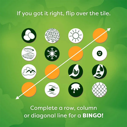 Animals of the World Bingo - Best Games for Ages 8 to 12 - US 9836