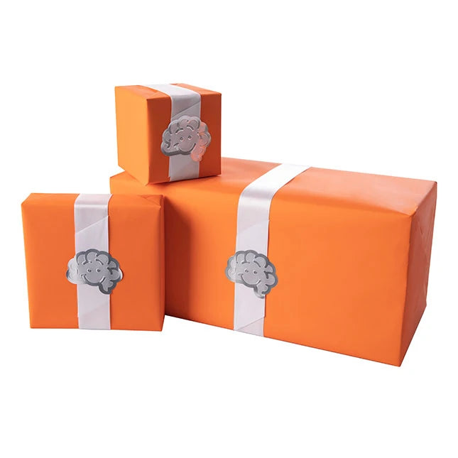 Deluxe Fat Brain Toys Birthday Wrap - Best Toys for Ages 3 to 12 - US 3437