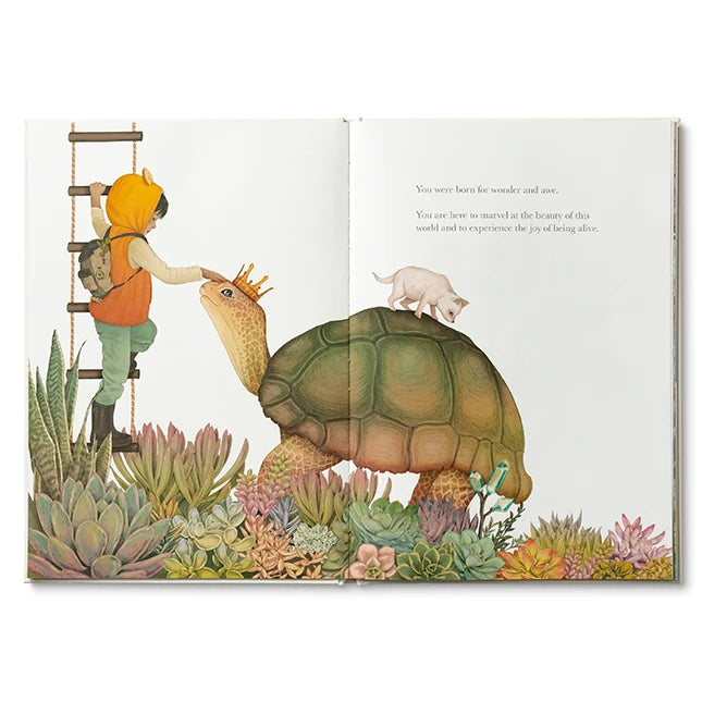 Why Not? - Best Books for Ages 8 to 12 - Fat Brain Toys - US 3526