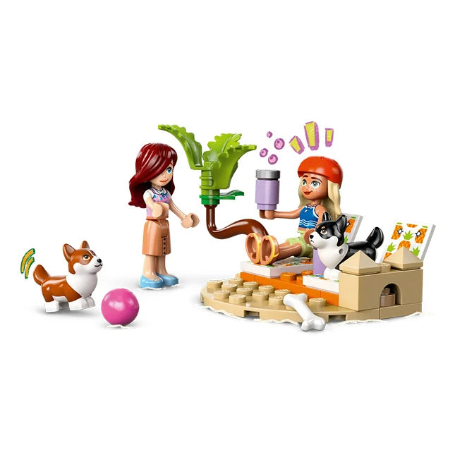 LEGO Friends - Surfing Dogs and Scooter Adventure - US 2015