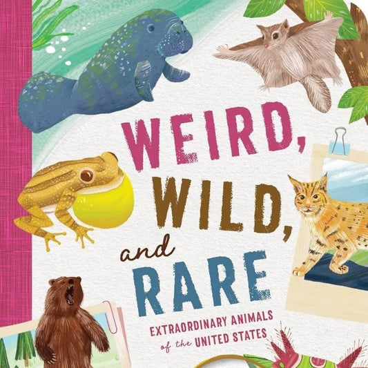 Weird, Wild, and Rare - Best Books for Ages 6 to 8 - Fat Brain Toys - US 2321