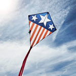 Eddy Stars &amp; Stripes Kite - 28 inch - Best for Ages 5 to 10 - US 7699