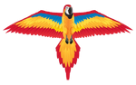 Nylon 2D Kite - Red Macaw - Best Active Play for Ages 8 to 12 - US 3639