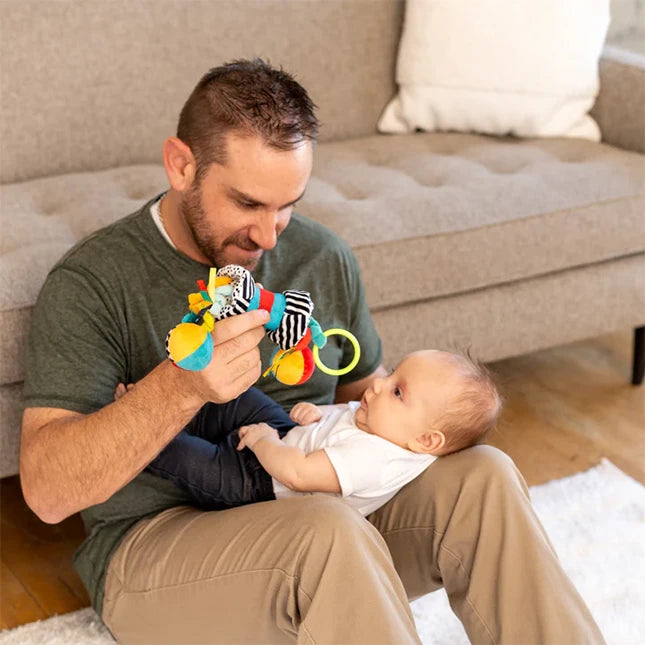 Wimmer Zaggles - Best Baby Toys &amp; Gifts for Ages 0 to 5 - US 2047