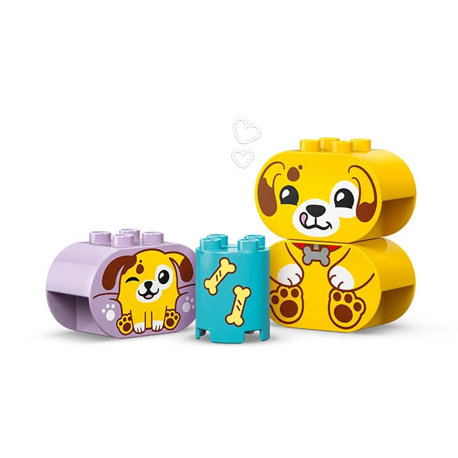 LEGO DUPLO - Shape Sorter - Puppy House - Best for Ages 2 to 4 - US 3286